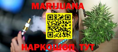 крисы Кандалакша